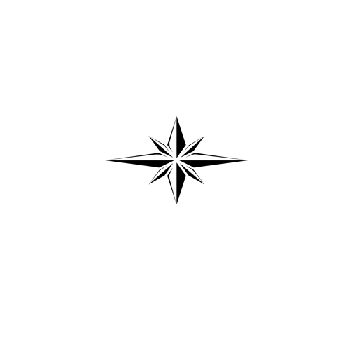 Polaris-logo-1-c